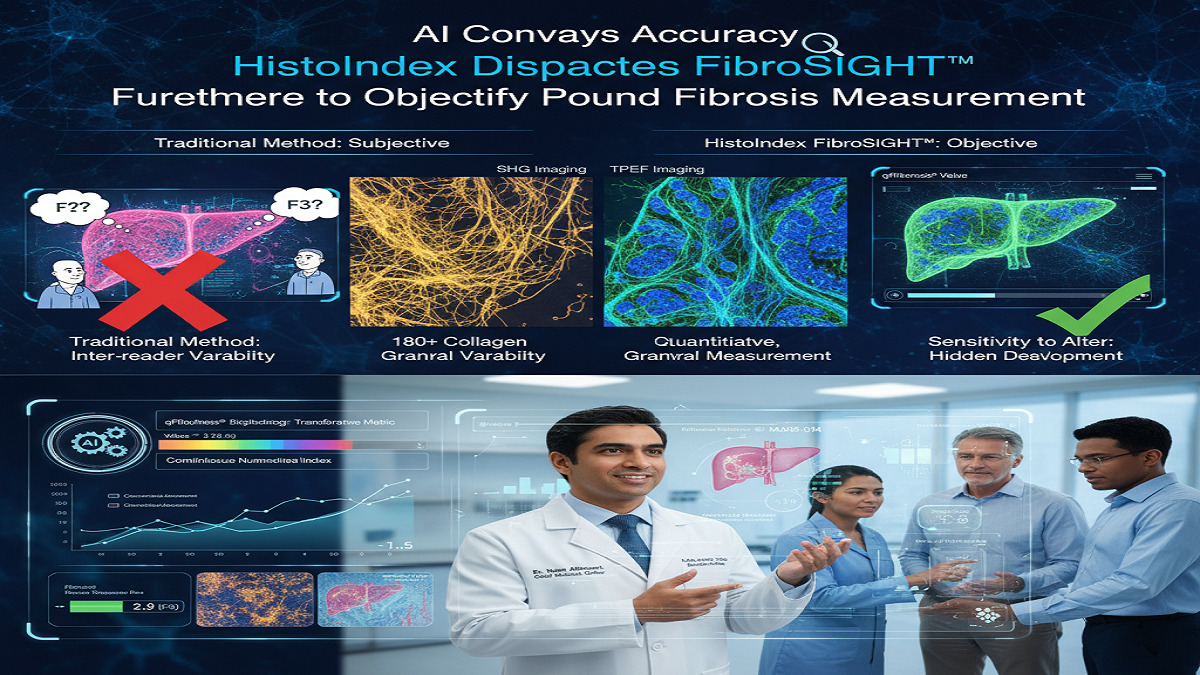 AI Conveys Accuracy: HistoIndex Dispatches FibroSIGHT™ Furthermore to Objectify Pound Fibrosis Measurement